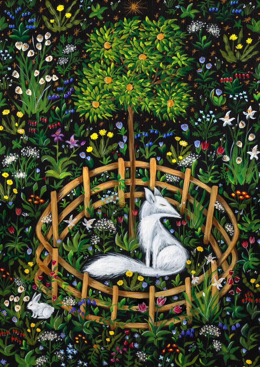 White fox (353)