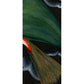 Giclée Bookmark